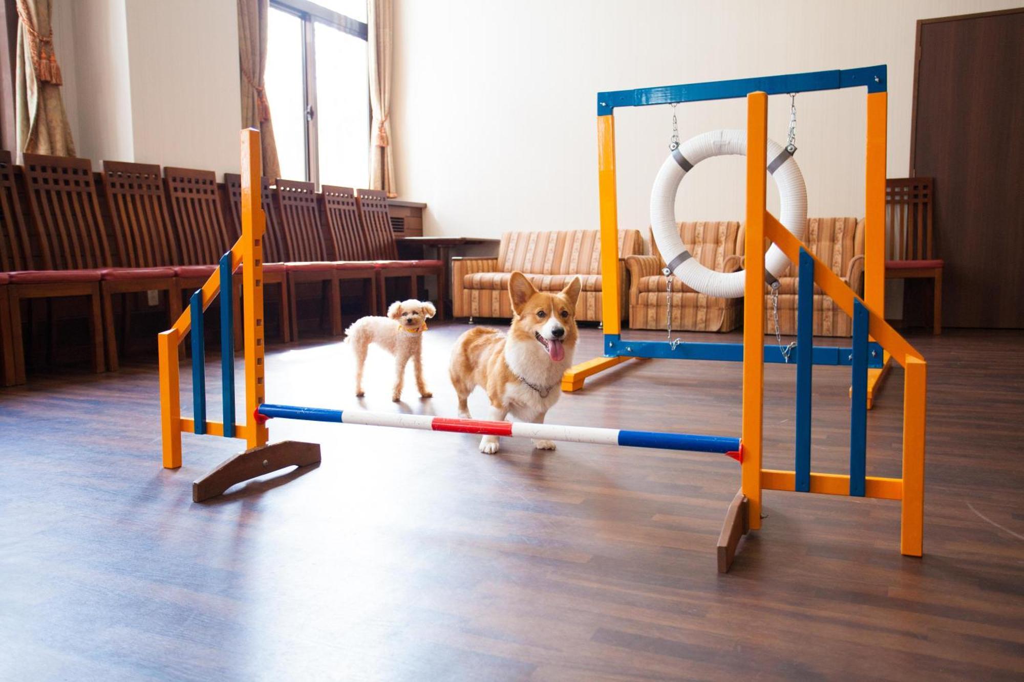 Izumigo Takayama Dog Paradise Hotel Eksteriør billede