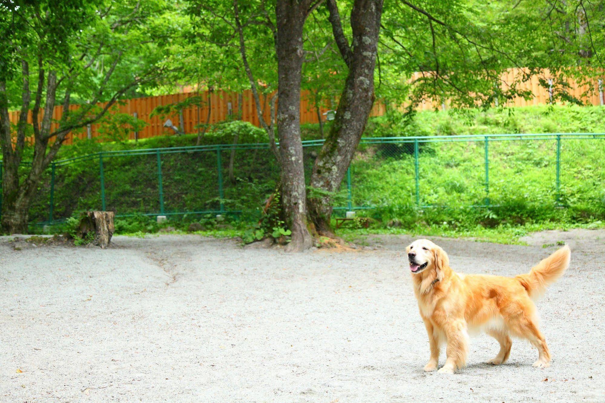 Izumigo Takayama Dog Paradise Hotel Eksteriør billede